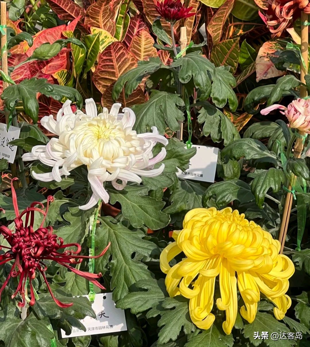 天津秋季旅游景点推荐路线,天津秋季旅游攻略大全