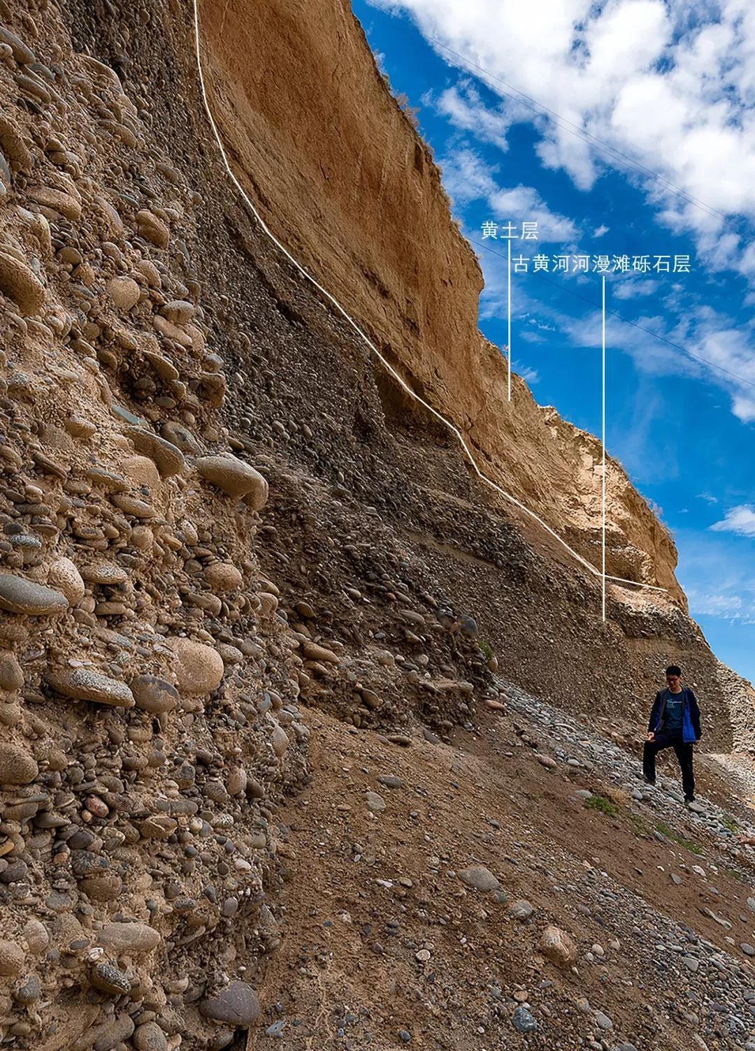 酸枣芽是炒了好还是冷冻鲜的好,酸枣芽采摘来直接生炒
