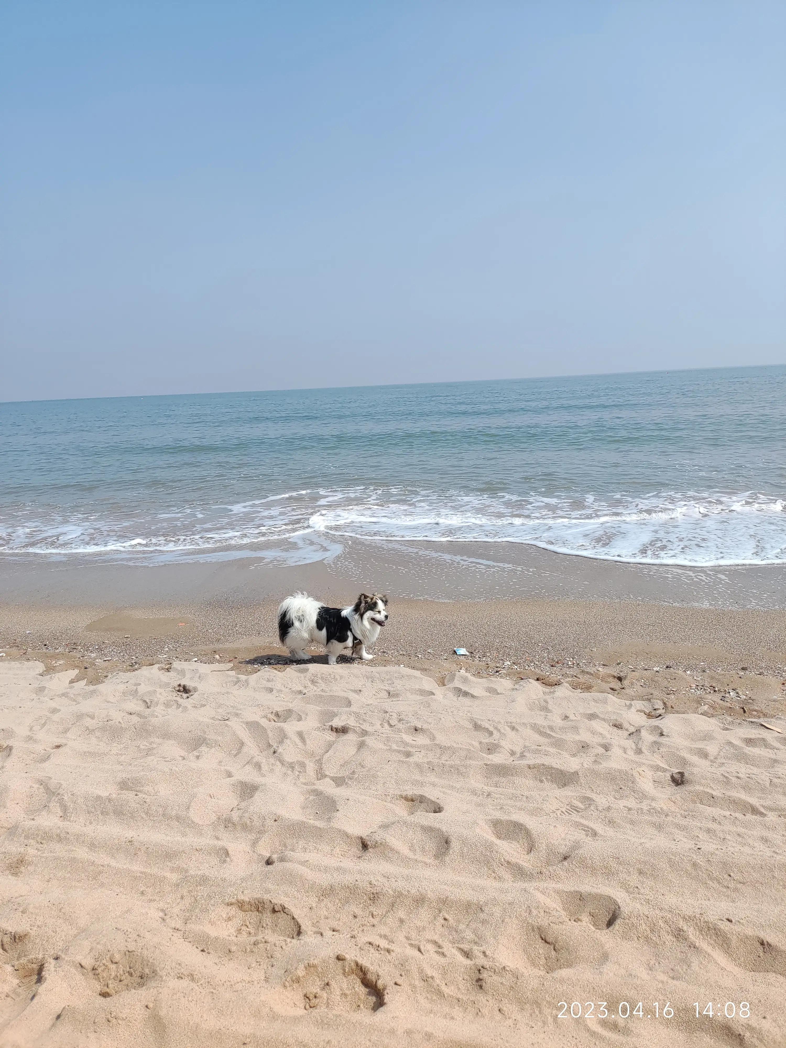 闹市里的风景亦令人赏心悦目,青岛秋千海边沙滩