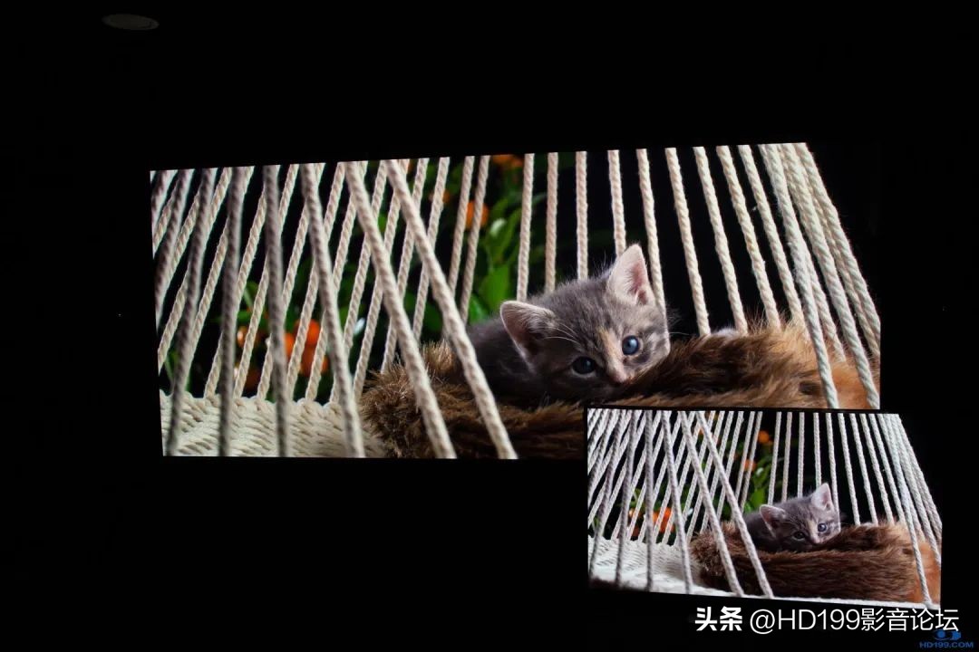 jvcn98和jvcn118实际效果差别大吗,jvcn118配什么幕布