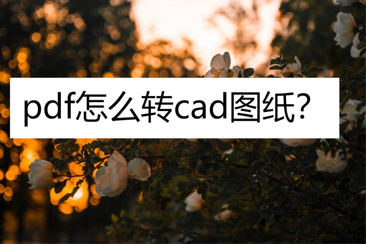cad图纸转pdf时如何定义任意尺寸,cad中如何输出自定义尺寸pdf图纸