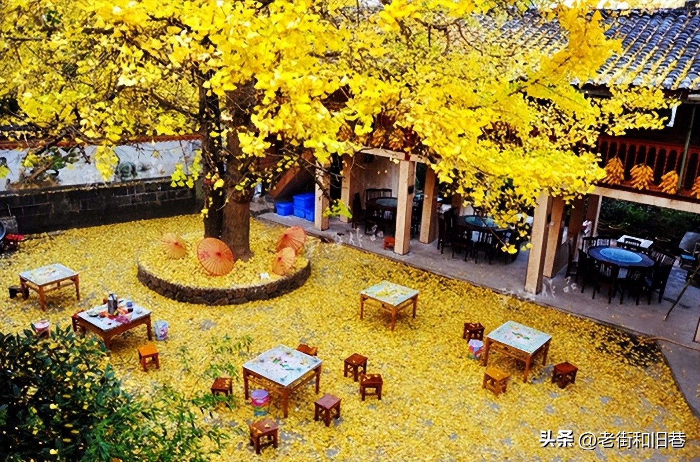 为什么说四季都适合去云南玩,去云南哪个季节去最好玩