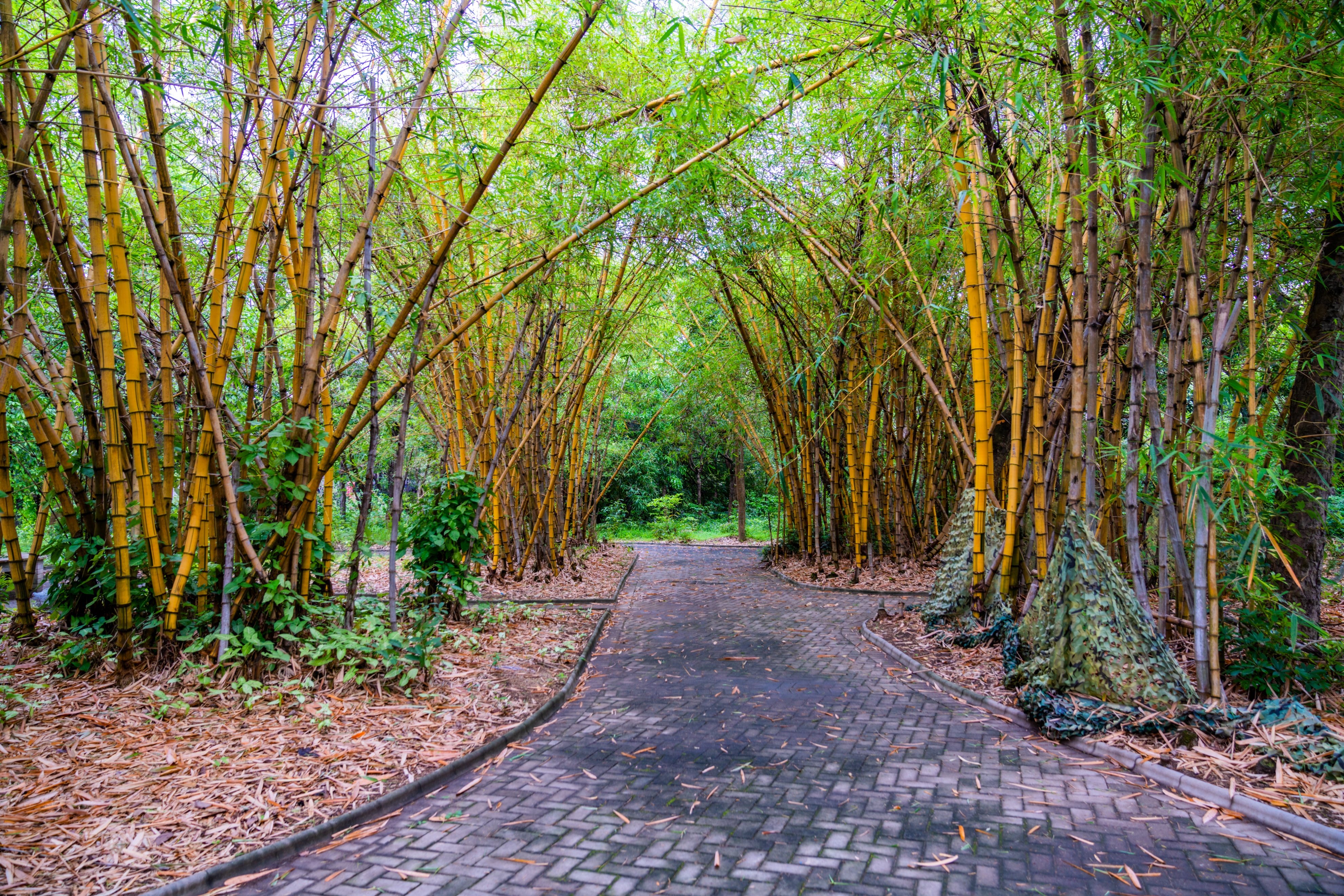 粤晖园国庆游,粤晖园自驾游攻略