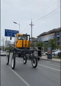 搞笑gif段子被你这个蠢货惊呆了,搞笑gif段子实在是猝不及防啊