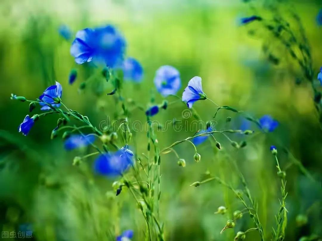46岁女人自述：母亲病逝三年后，感谢父亲娶了我小姨