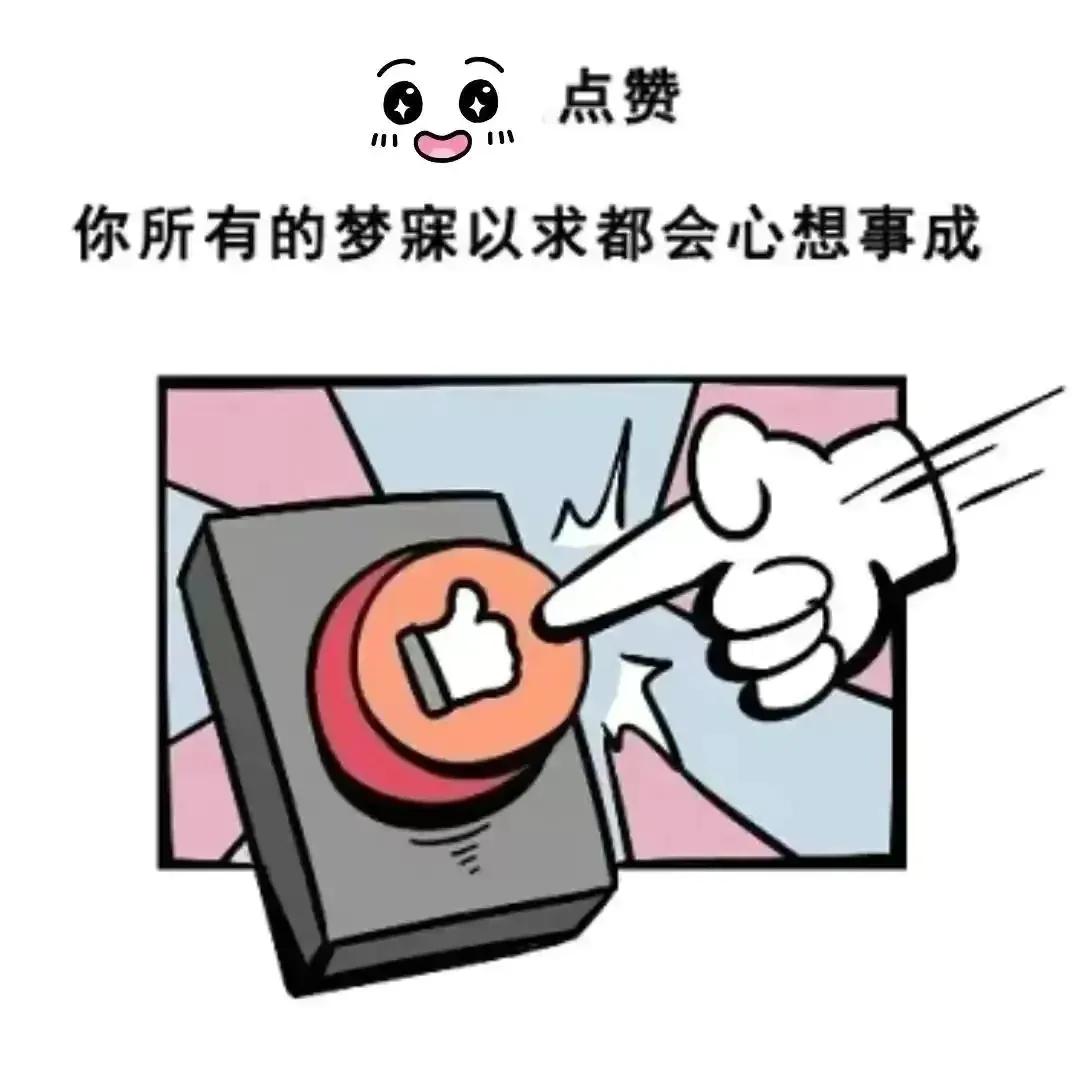 丁克家庭晚年真实生活 (丁克晚年生活纪录片)