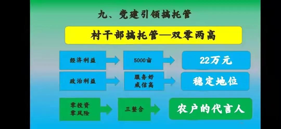现代化农业生产经营模式,农业农村托管新模式