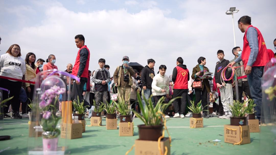 四会石狗镇兰花展今年什么时间,石狗镇程村兰花展馆