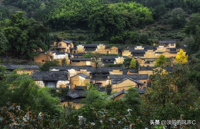 乡镇那些事41集,乡镇那些事51