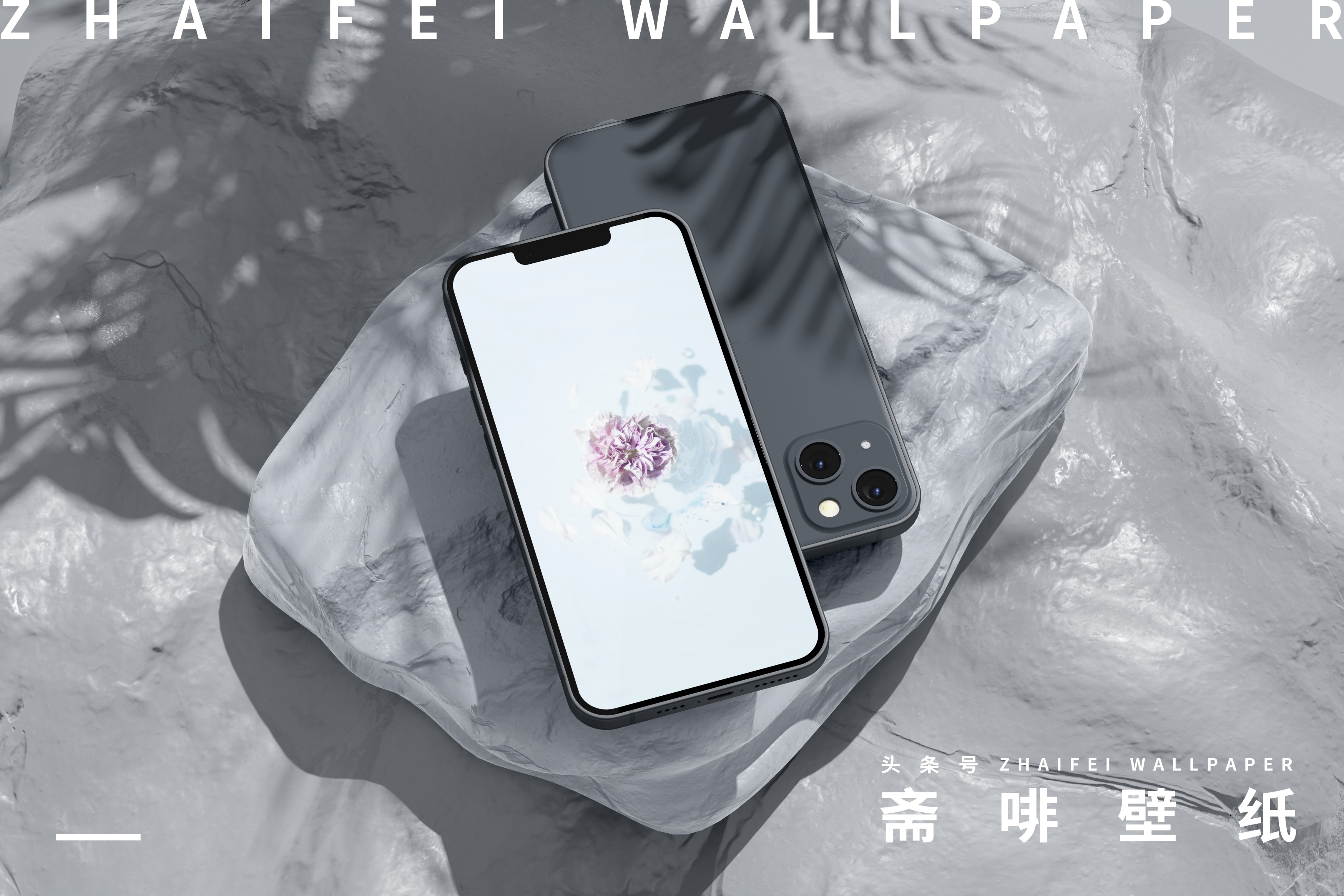 苹果专用壁纸全屏花,花图片壁纸高清全屏