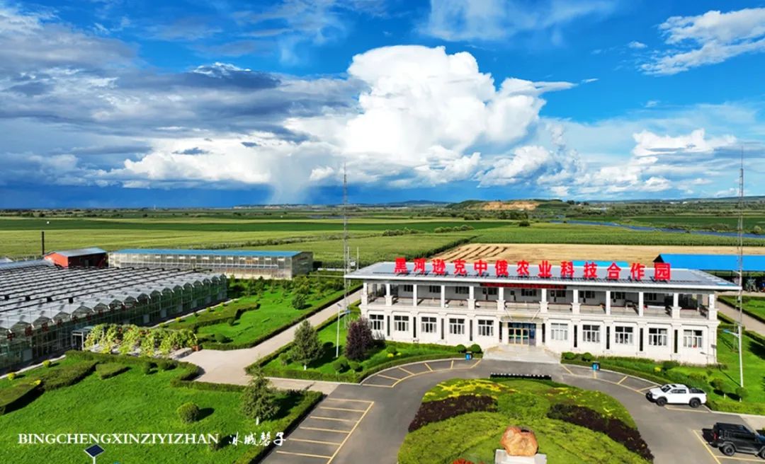 中俄边境线上的小城：逊克，披着“红珠绿边银装”的生态边城