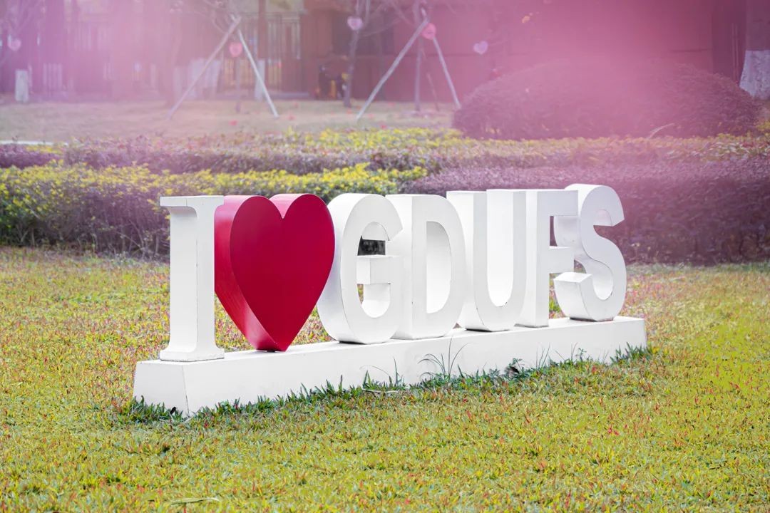 宝藏学院哪个专业好,七所宝藏学校的热门专业推荐