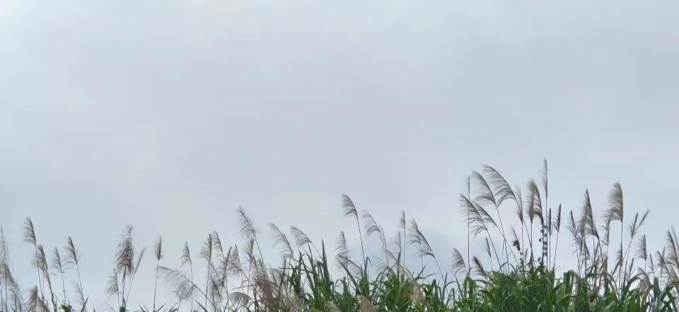 给忙碌的五月一个总结,五月总结收尾语