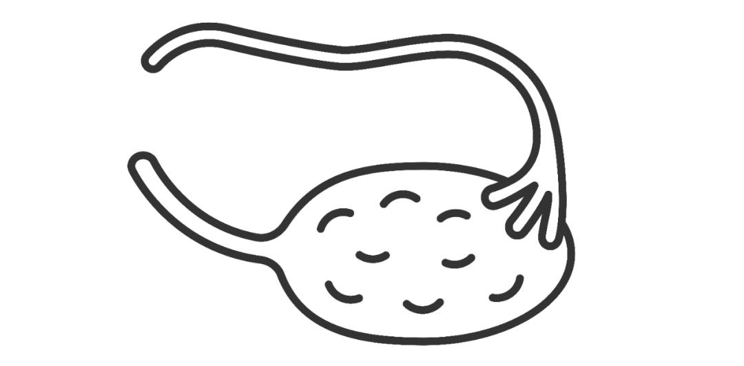 两性健康知识内容包括什么,两性健康的知识误区