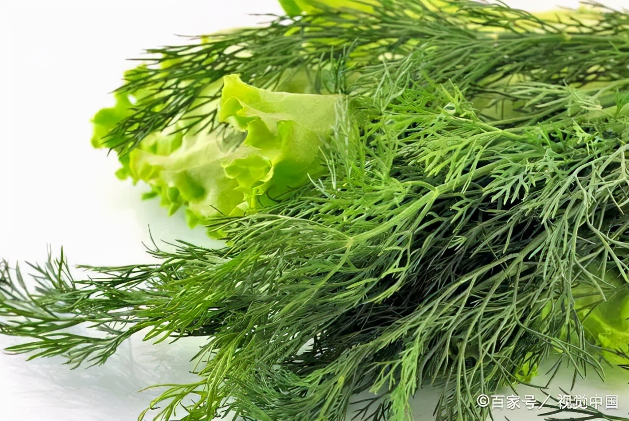 胃痛吃不下东西只能喝水,胃痛吃不下饭瘦了十几斤怎么回事