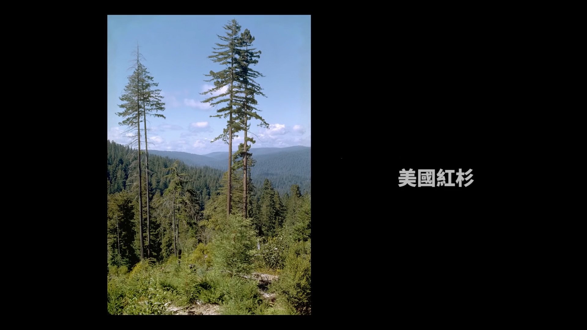 天到底有多高,一张图看懂天有多高