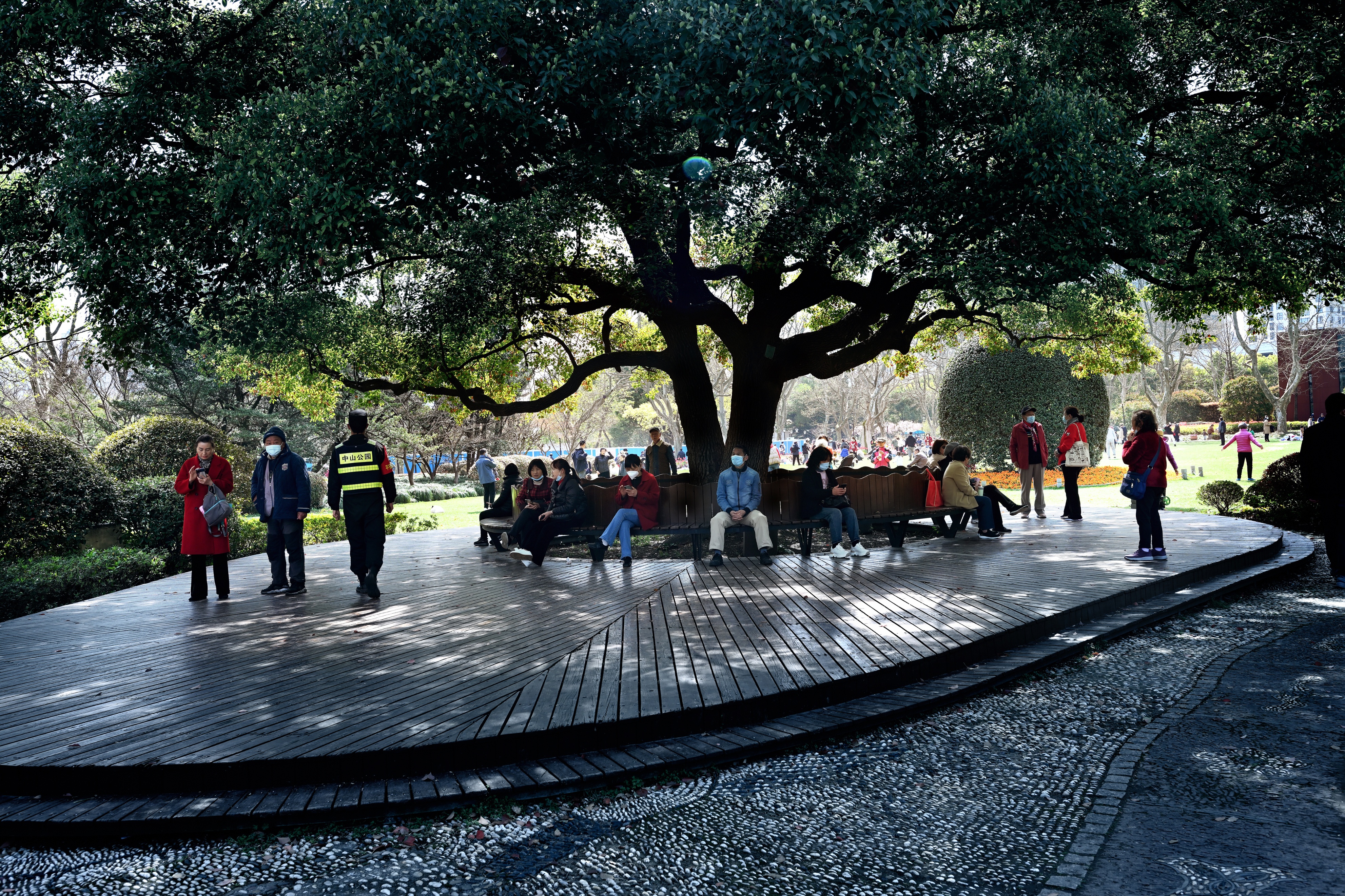 最近上海中山公园,最新上海中山公园介绍