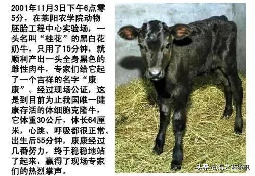 烟台又失一所大学，海都学院即将搬离？