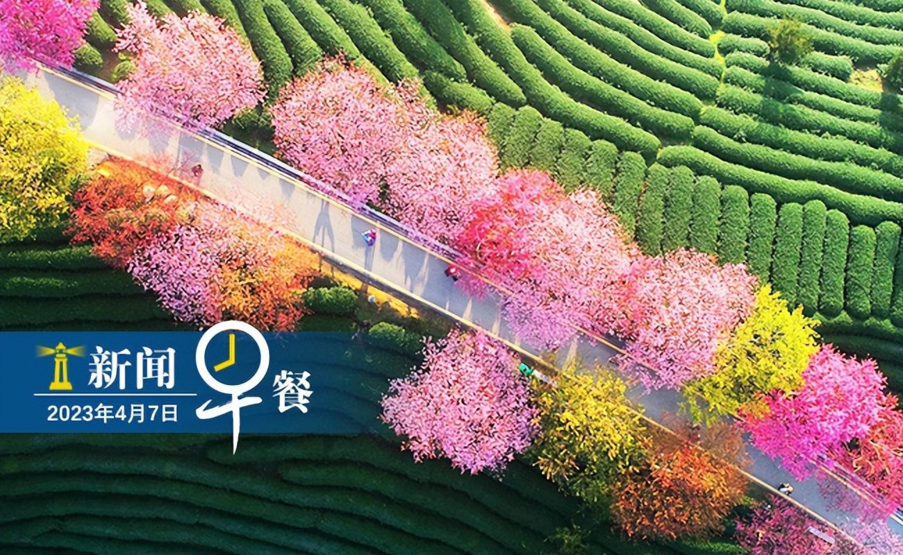 灯塔早餐谁家卖煎饼果子,日照灯塔附近必吃早餐