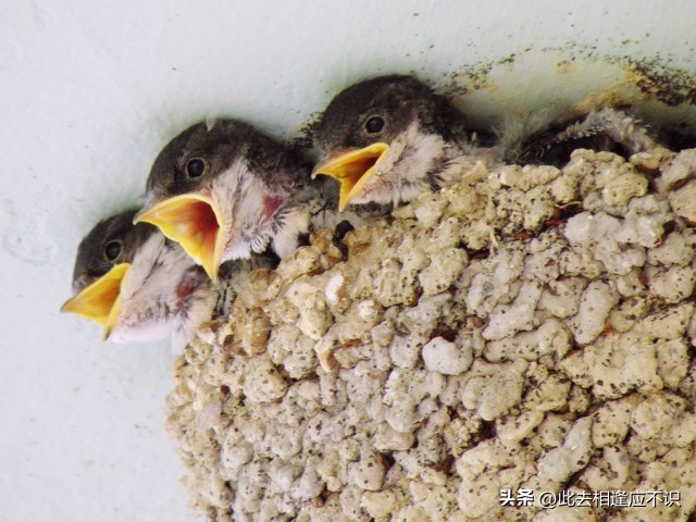 孩子读了高三家长是如此卑微,卑微的高三家长们可以喘口气了不