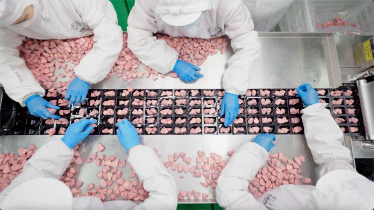 《看见算力》|从濒临破产到行业第一,这家福建工厂做对了什么?