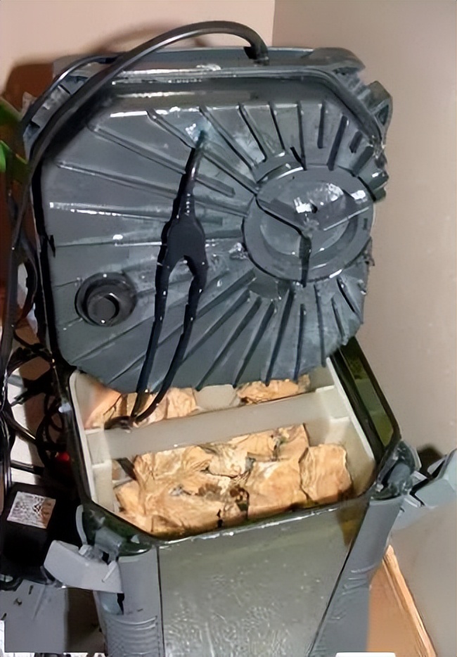 海水珊瑚缸鹦鹉螺,海水缸珊瑚视频大全