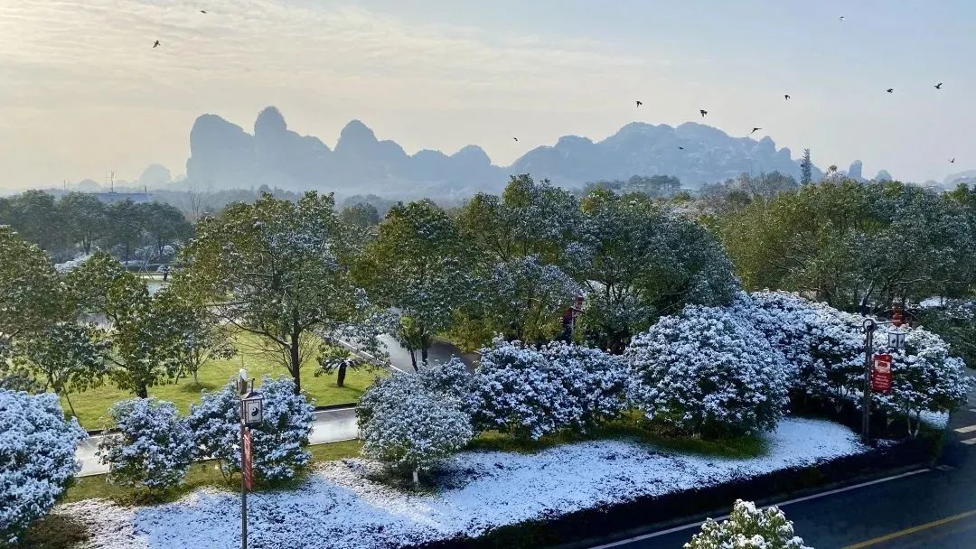 24节气大雪高清动图大图,大雪节气后就会下雪了吗