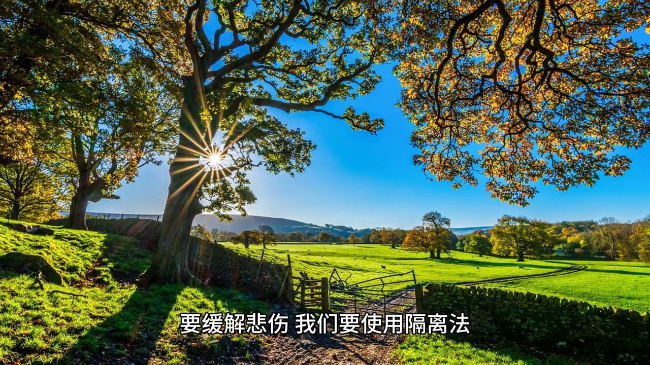 家人生病心理如何调节,家人得了重病家属怎么安抚心理