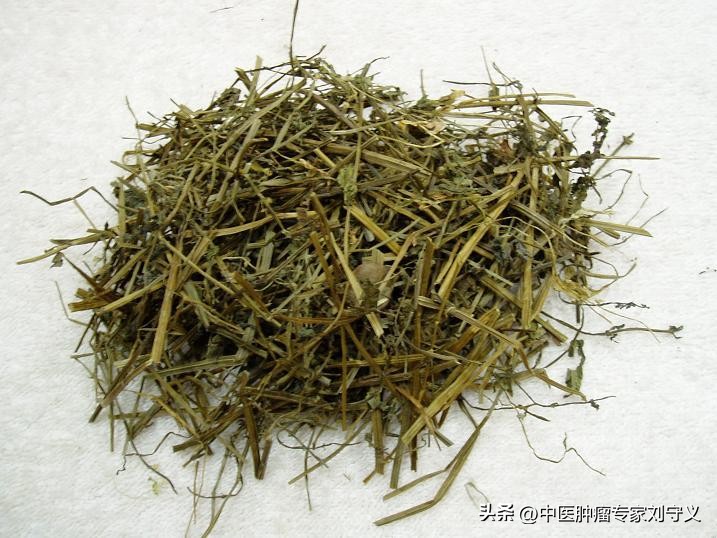 一味中药白花蛇舌草的功效,中药白花蛇舌草的功效治什么病
