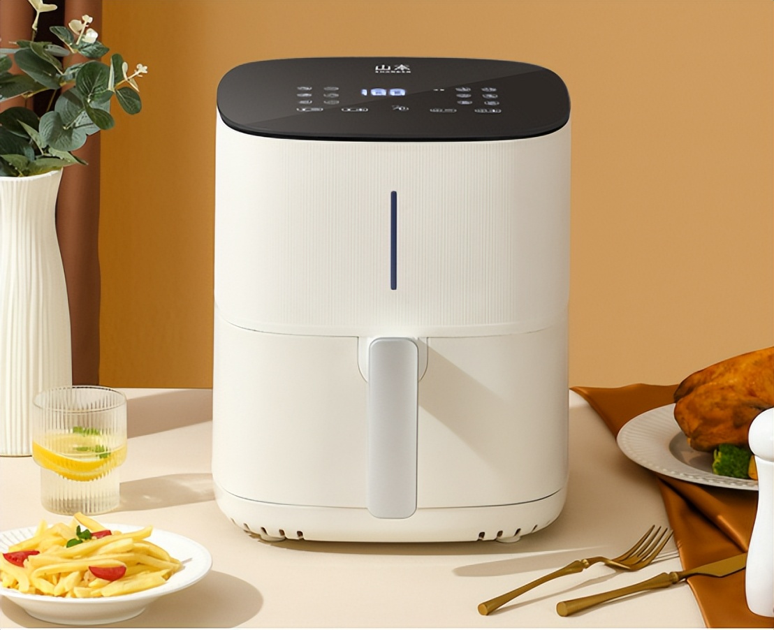 买空气炸锅哪个品牌的性价比最高,空气炸锅十佳品牌