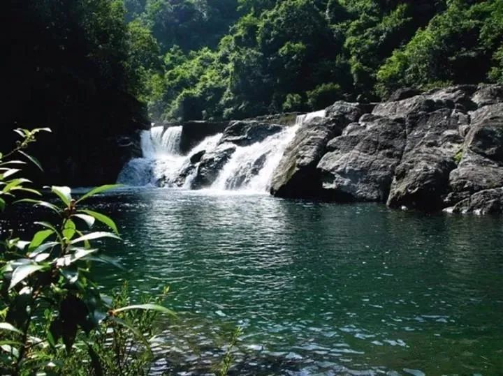 月游闽侯│七月-塘里洋里春园鲤,沉浸闽侯清凉里!