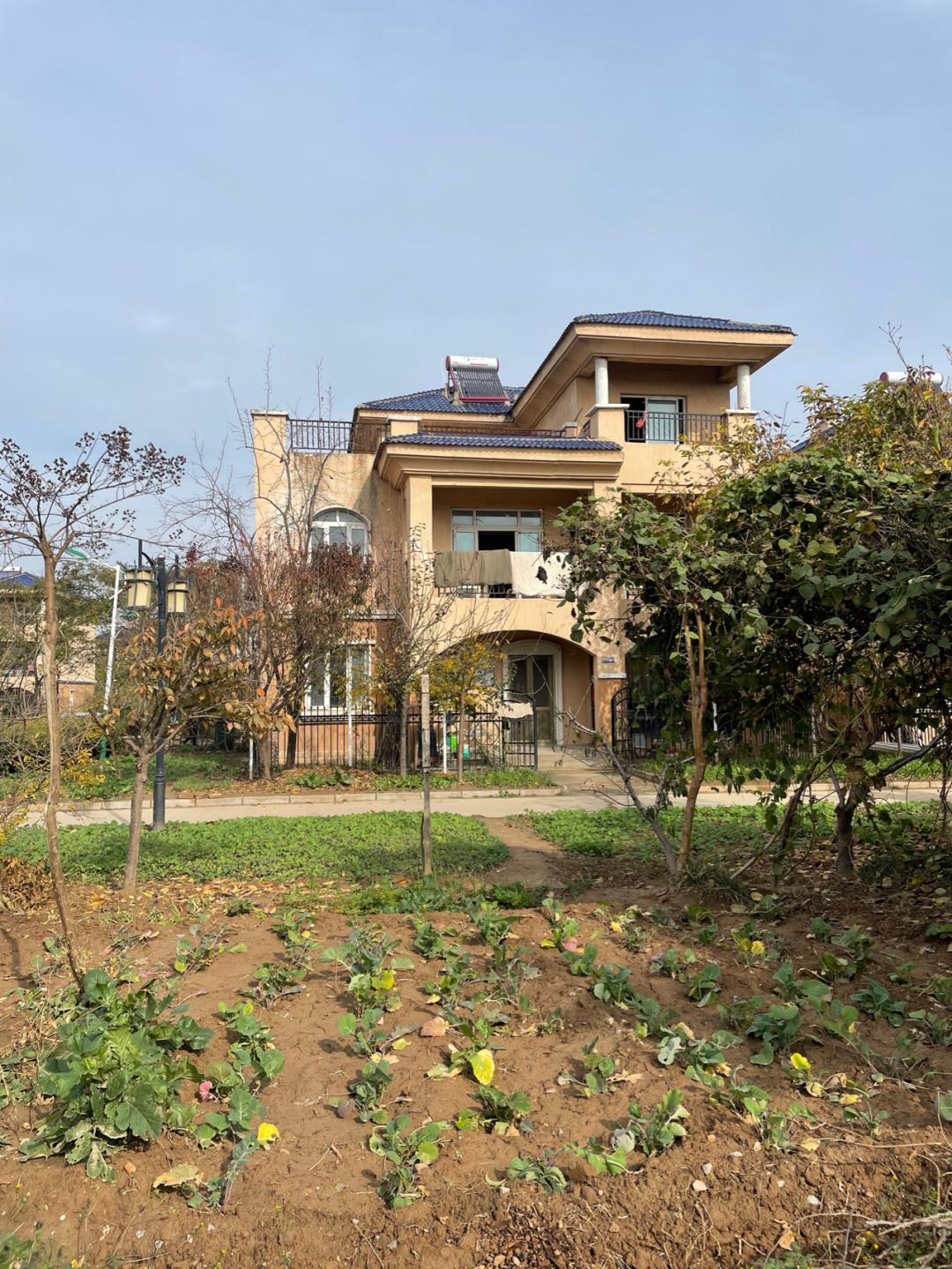 董董骑行山东,懂懂骑山东