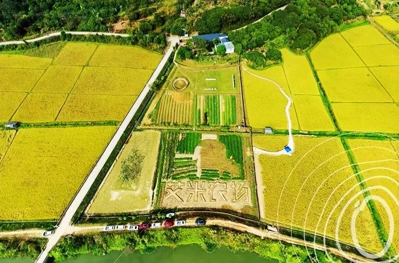 如何规划经营百亩农场才能更赚钱,共享农场模式1.9亩收入20万