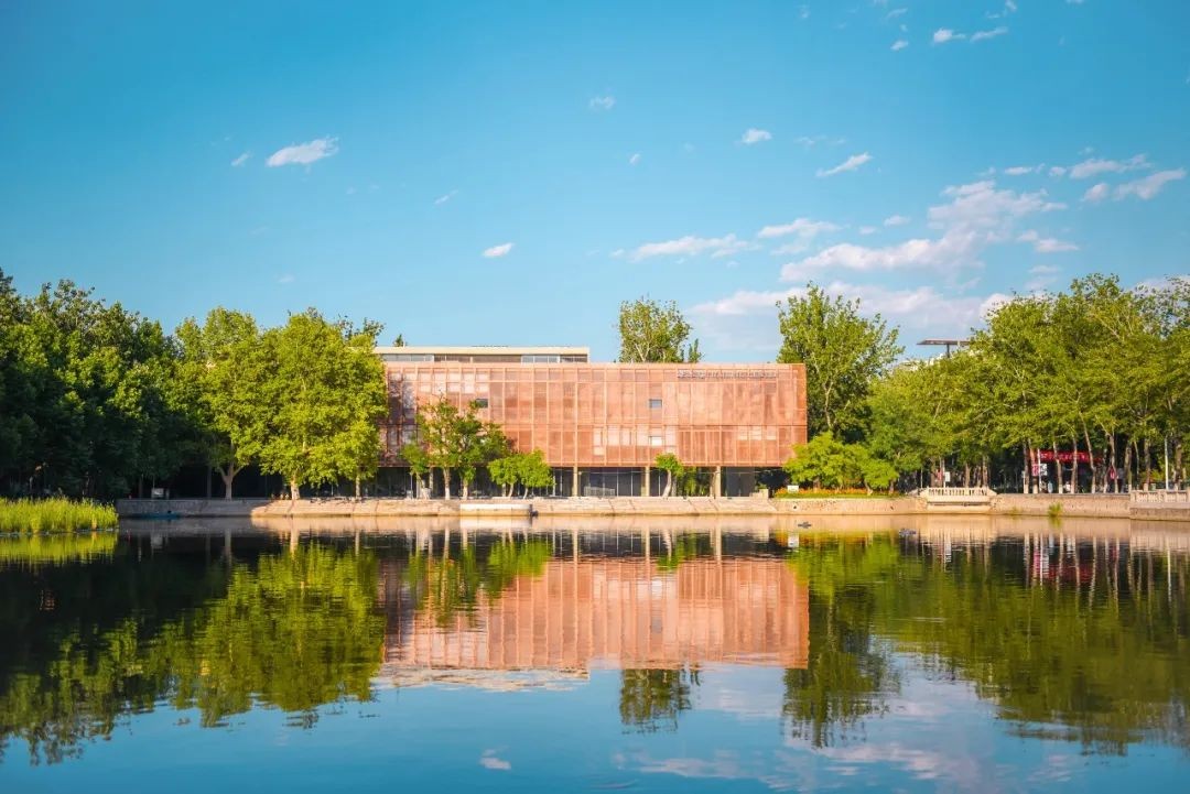 南开天大最强学科,南开大学整体数学实力