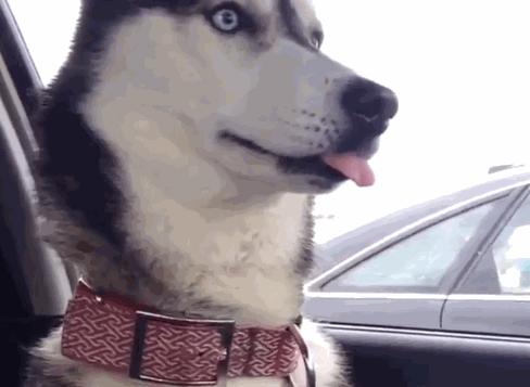 沙雕撩人幽默冷笑话,冷笑话沙雕搞笑句子大全