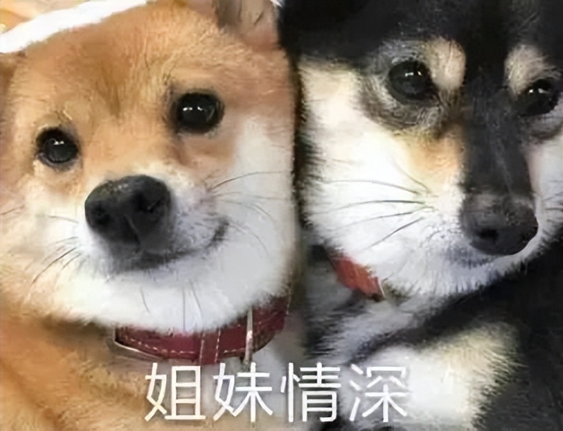 用完skii面膜需不需要洗掉,面膜用完后必须洗掉吗