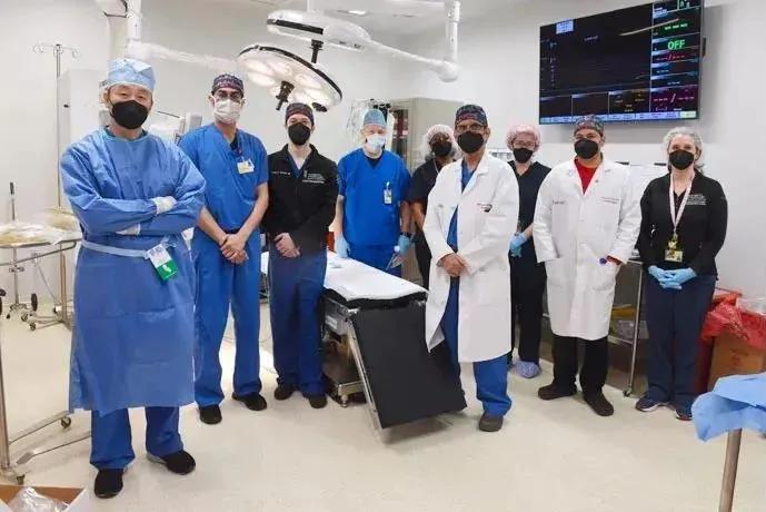 异体移植要多久,异种器官移植成功率