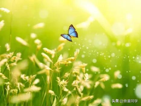 2023年是黑兔有什么说法,2023年黑兔遇上闰二月有什么说法