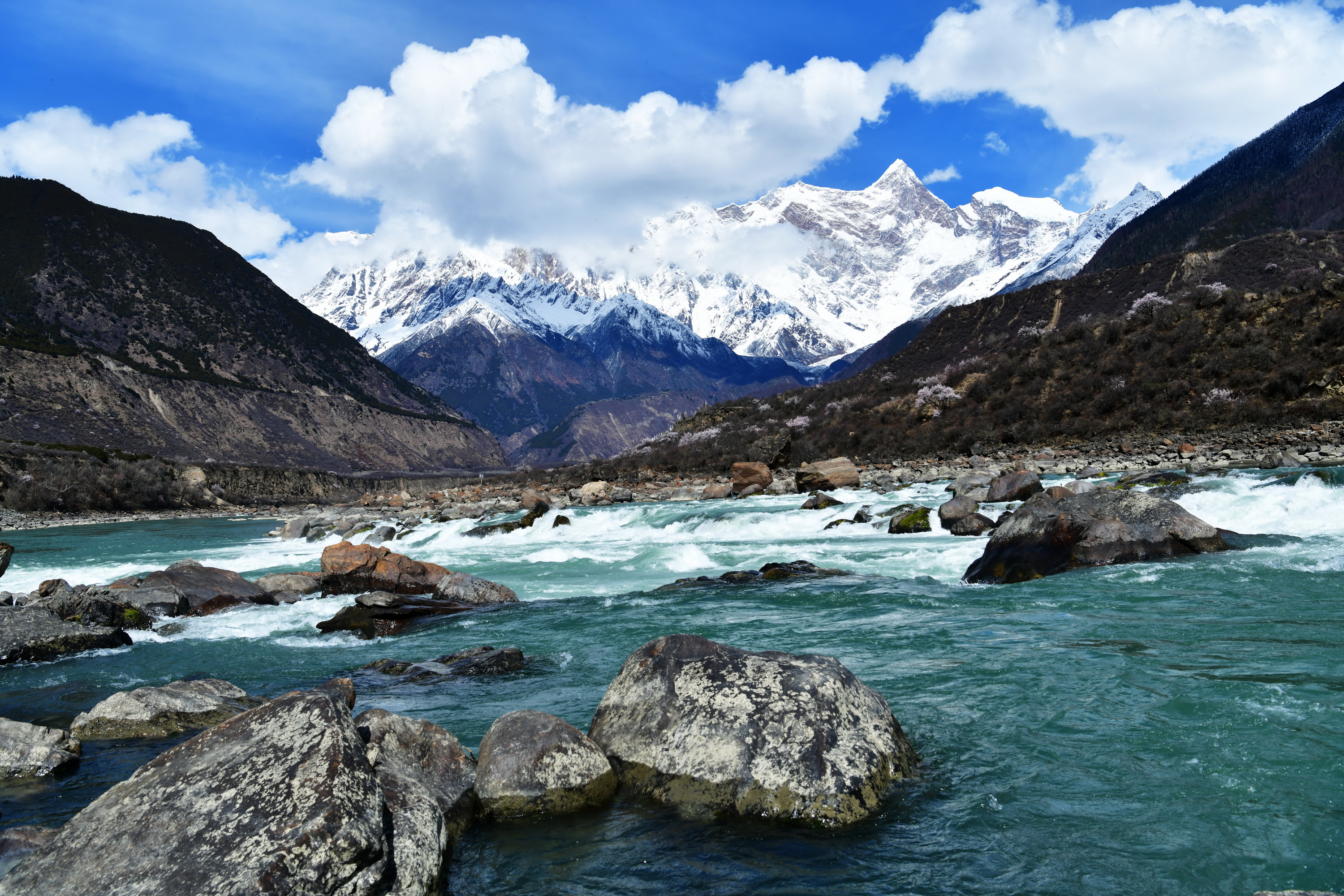 我的林芝一日游攻略,林芝看桃花西藏之旅