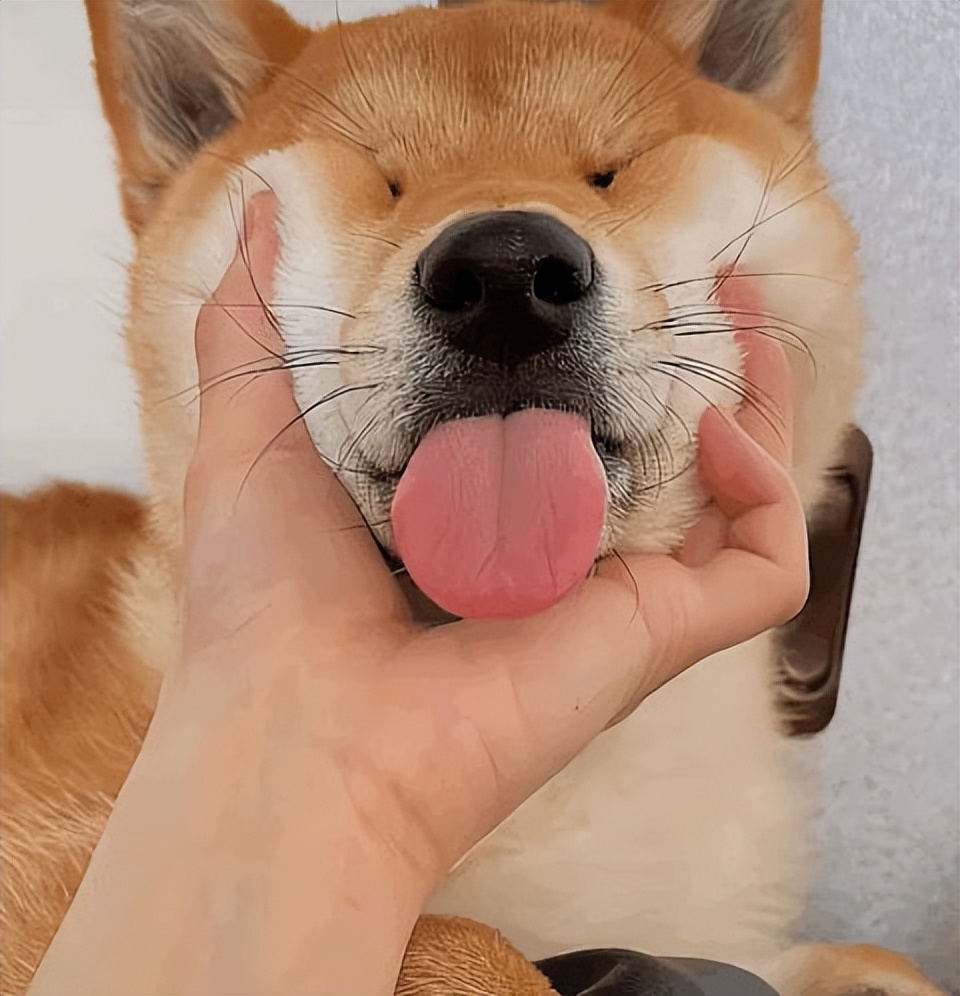 瘦双下巴的最快方法男人,怎么样可以瘦双下巴一天就见效