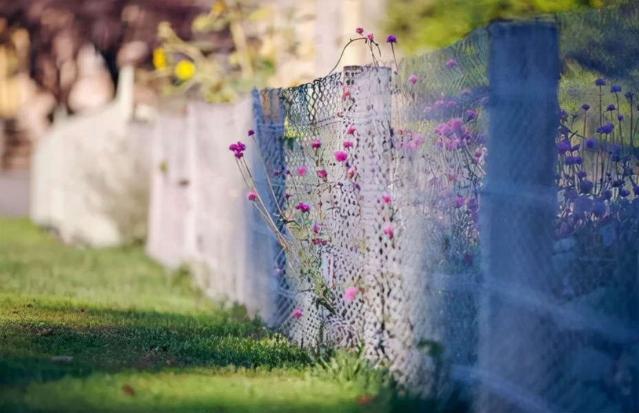物如其名——糖度仪，花花世界迷人眼，它的选择该何去何从