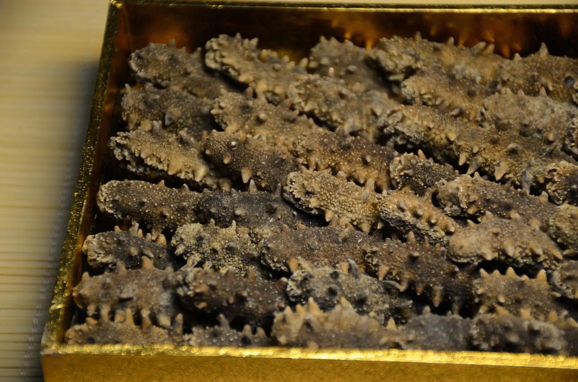 吃海参好身体,吃海参真的增强免疫力吗