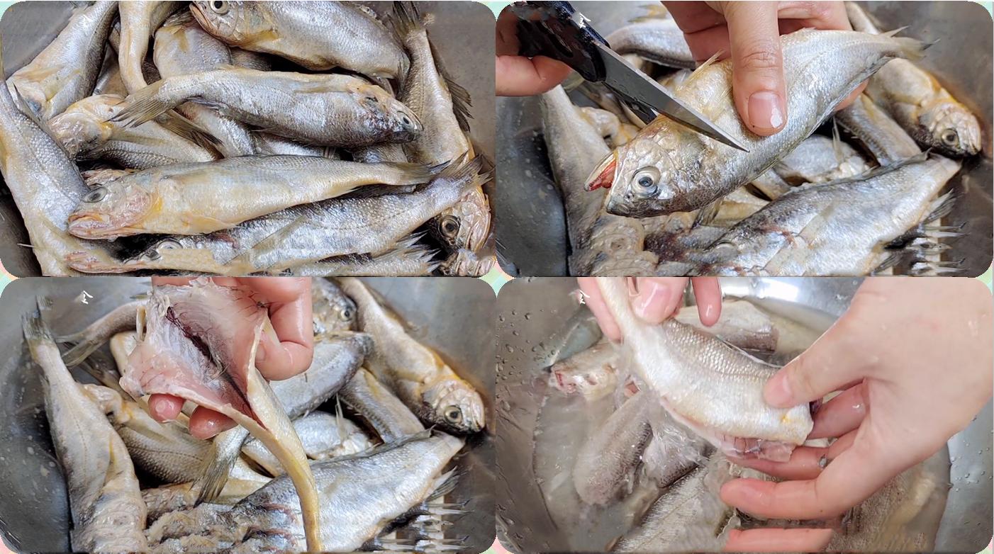 春季养生宜选择的几种野生海鱼,什么海鱼最好养又营养