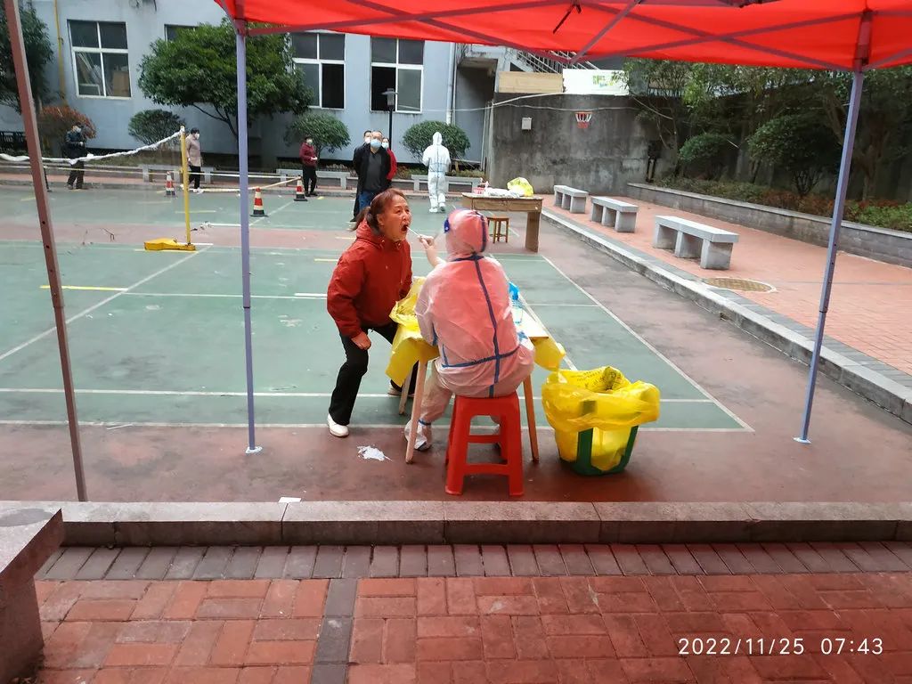 钟奋生每日分析,钟奋生每日一句话