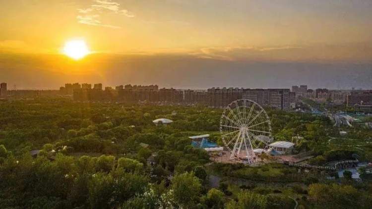 顾村公园冬季好玩吗,顾村公园游玩线路攻略一日游