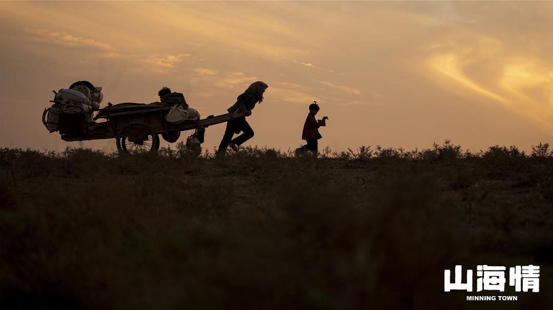 县委大院电视剧央视直播,央视县委大院最新预告