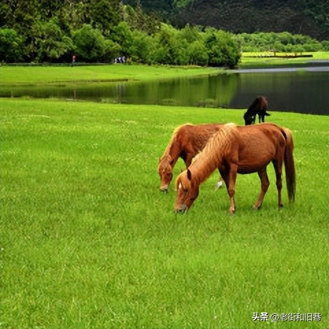 为什么说四季都适合去云南玩,去云南哪个季节去最好玩