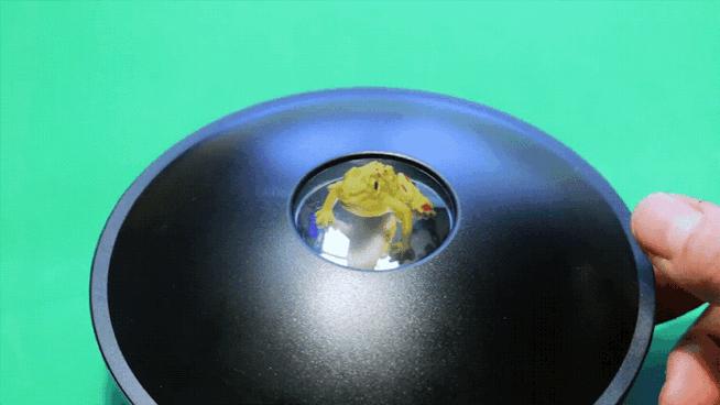 乱花渐欲迷人眼指的是哪里,乱花渐欲迷人眼是指花开得多吗