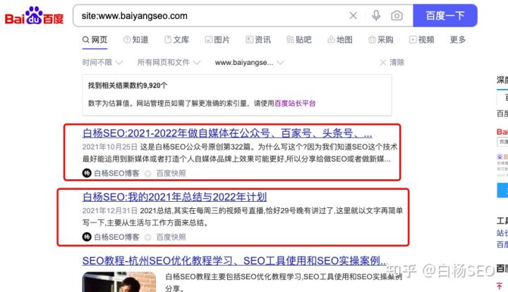 seo快速收录技术有哪些方法,白杨seo引流技巧