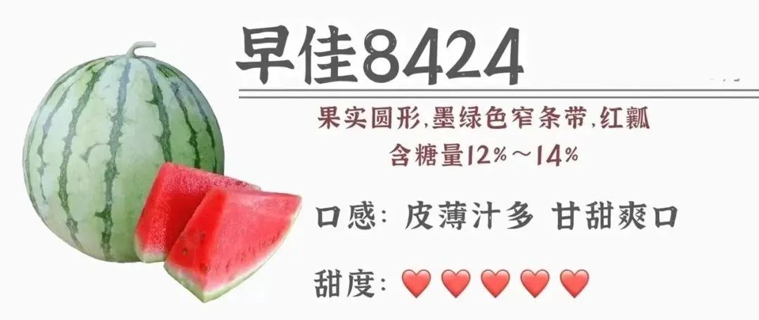 三伏天如何做一个合格的吃瓜群众,三伏天要怎么做怎么吃